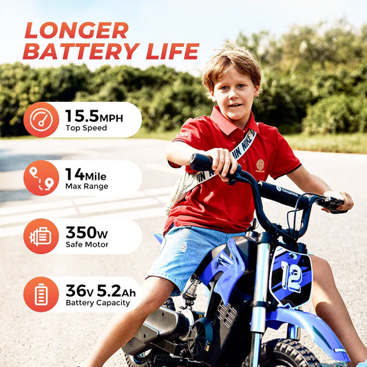 lsinwheel A12 350W Motor Children's Electric Bicycle, 36V 5.2Ah Battery,12 inch inflatable tire City E-bike.