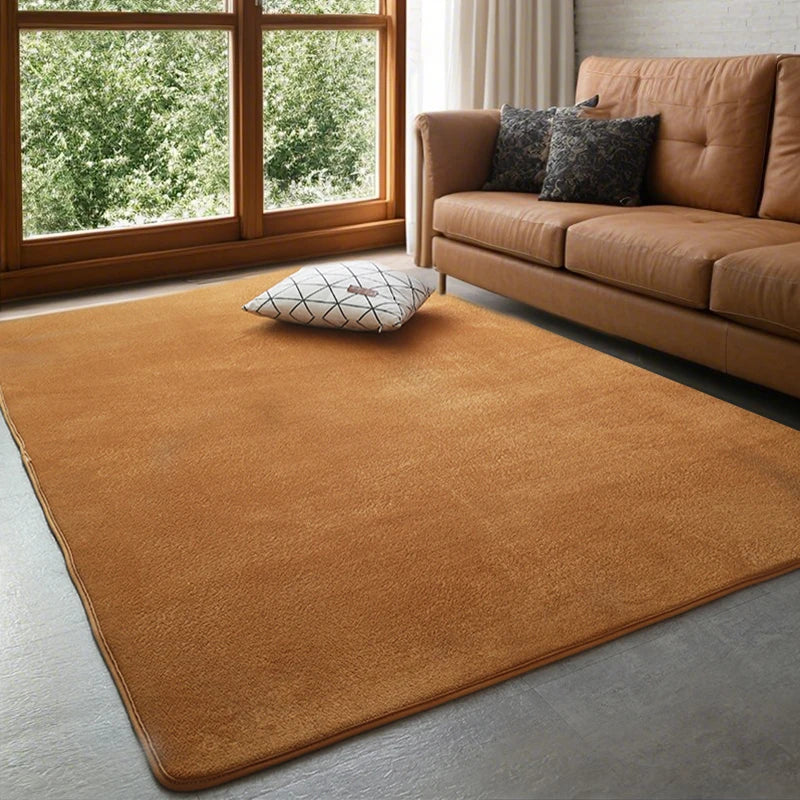 VIKAMA Modern Coral Velvet Carpet Soft Non-Slip Living Room Bedroom Carpet.