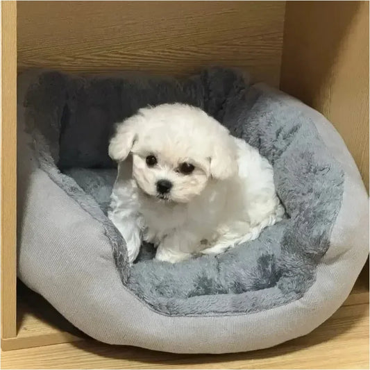Very Soft Warm Dog Bed, Pets Basket ,Cat House, Sofa for Medium Large Dog Sofa Bed Cushion .