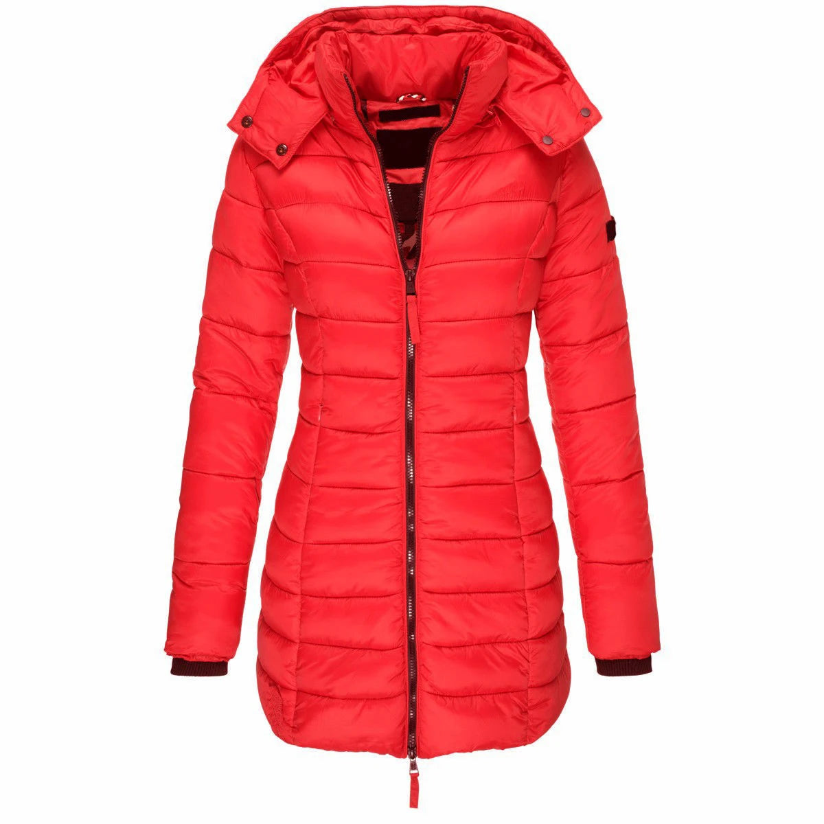 Winter Jackets for Women Zipper Hooded Cotton Padded Jackets.