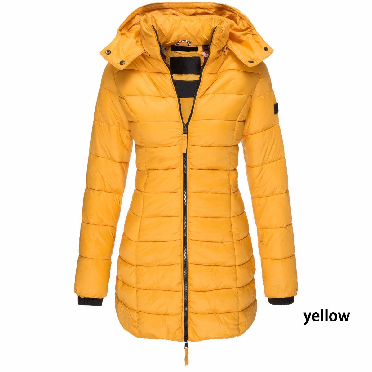 Winter Jackets for Women Zipper Hooded Cotton Padded Jackets.