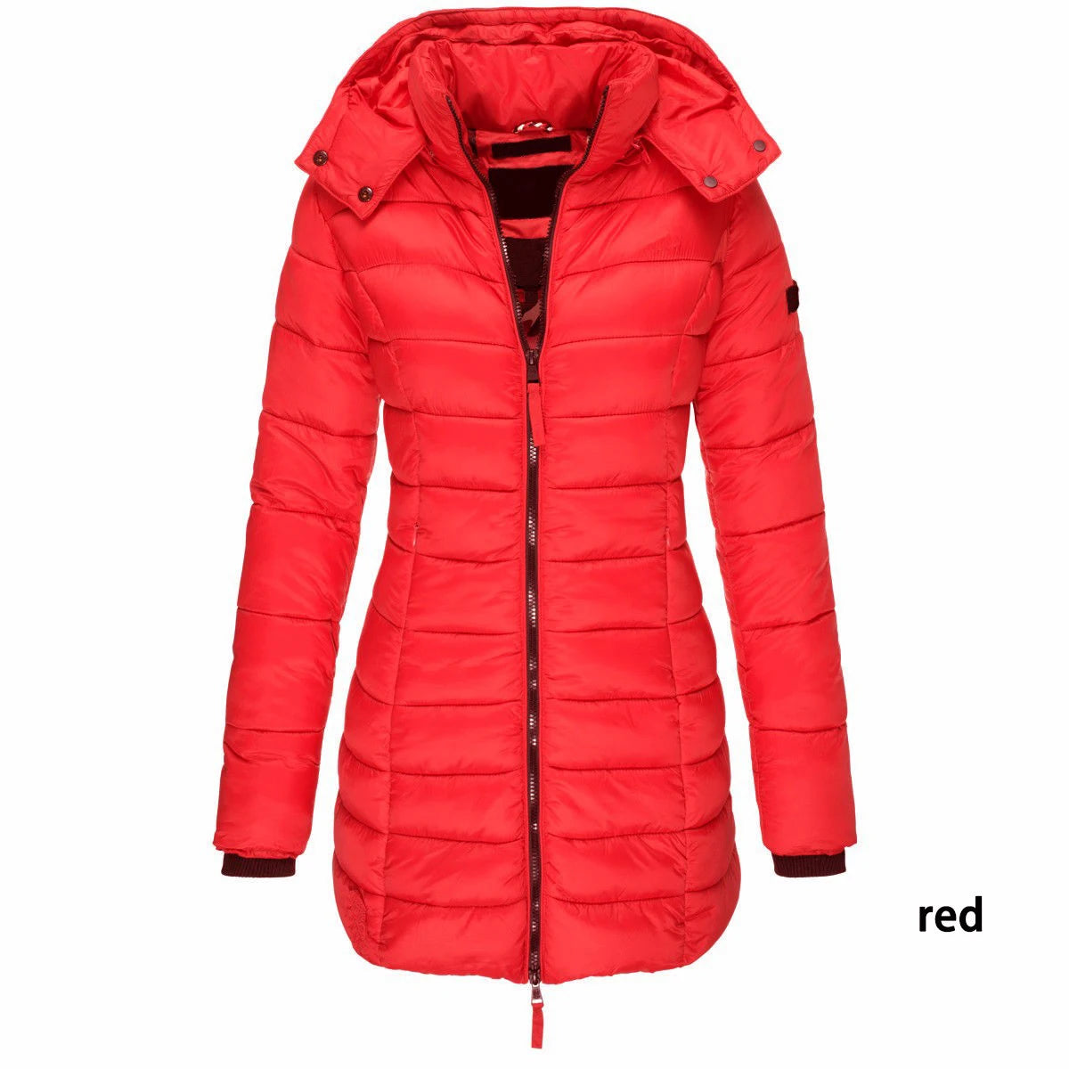 Winter Jackets for Women Zipper Hooded Cotton Padded Jackets.