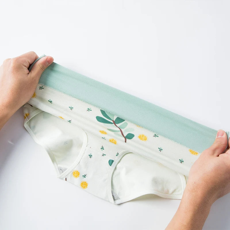 High Waist 4Pcs/Set Cotton Panties, Women Body Shaper Briefs Plus Size M-4XL.