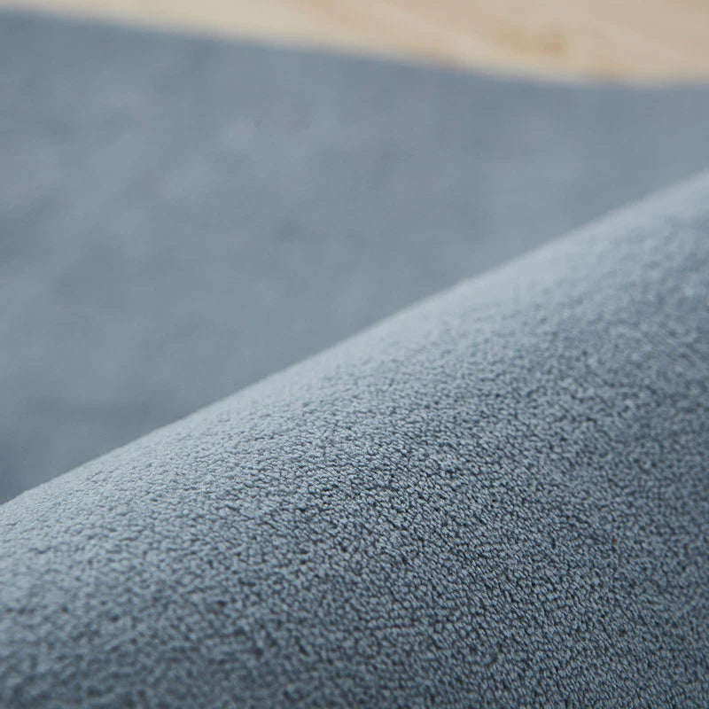 VIKAMA Modern Coral Velvet Carpet Soft Non-Slip Living Room Bedroom Carpet.