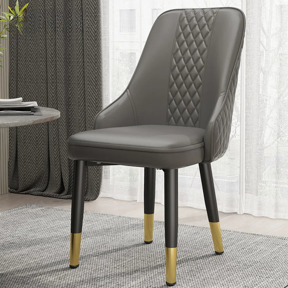 Cushion Beautiful Dining Chairs, Modern Metal Ergonomic  Unique  Home Decoration