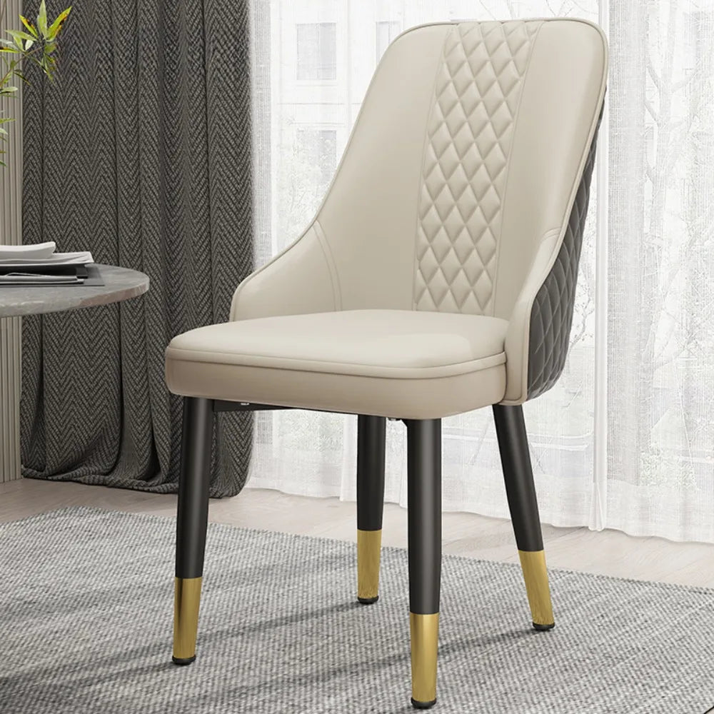 Cushion Beautiful Dining Chairs, Modern Metal Ergonomic  Unique  Home Decoration