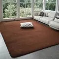 VIKAMA Modern Coral Velvet Carpet Soft Non-Slip Living Room Bedroom Carpet.