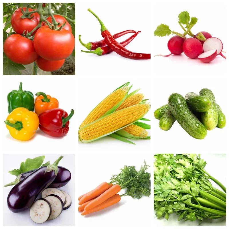 Wholesale Urea 46% Nitrogen Fertilizer, Urea 46 Fertilizer 46-0-0/Urea