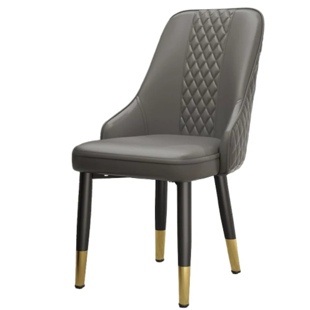 Cushion Beautiful Dining Chairs, Modern Metal Ergonomic  Unique  Home Decoration