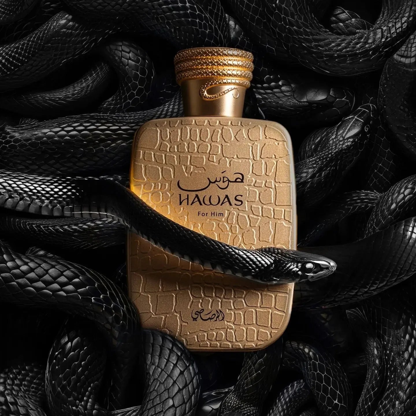 Hawas Viper Fragrance for Men: 3.38 FL OZ EDP, Long-Lasting Intense Aroma