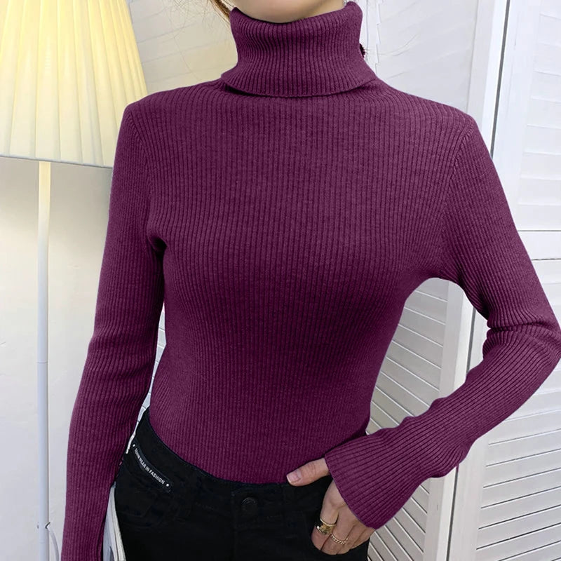 Women Fall Turtleneck Sweater, Cashmere Sweaters For Women 2025.