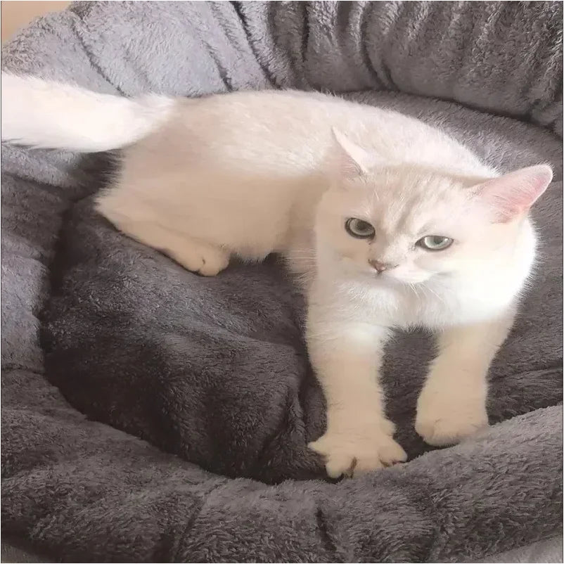 Very Soft Warm Dog Bed, Pets Basket ,Cat House, Sofa for Medium Large Dog Sofa Bed Cushion .