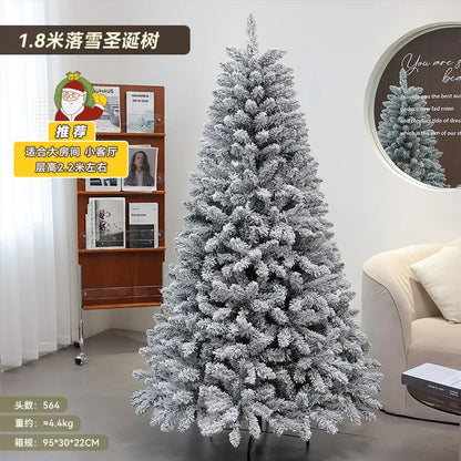 Christmas Snowfall, Plucking, Encryption, Christmas Tree