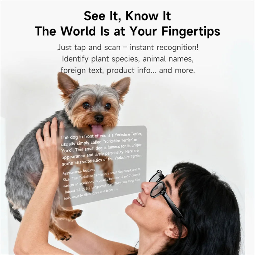 AI Smart Glasses, Real-time Translation, Dual Camera, Bluetooth Call Sunglasses, Shoot Audio Video Music Player Multifunctional.