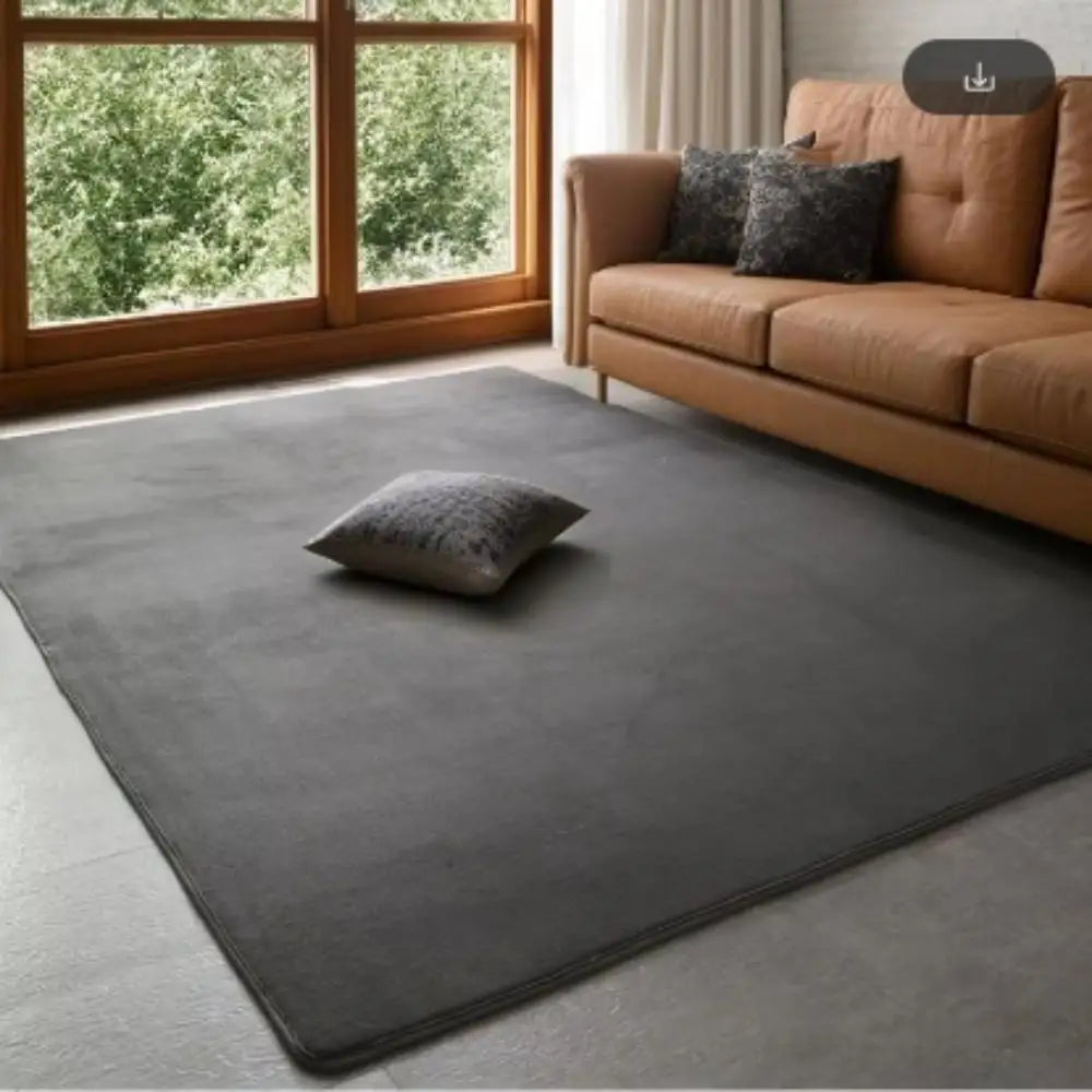 VIKAMA Modern Coral Velvet Carpet Soft Non-Slip Living Room Bedroom Carpet.