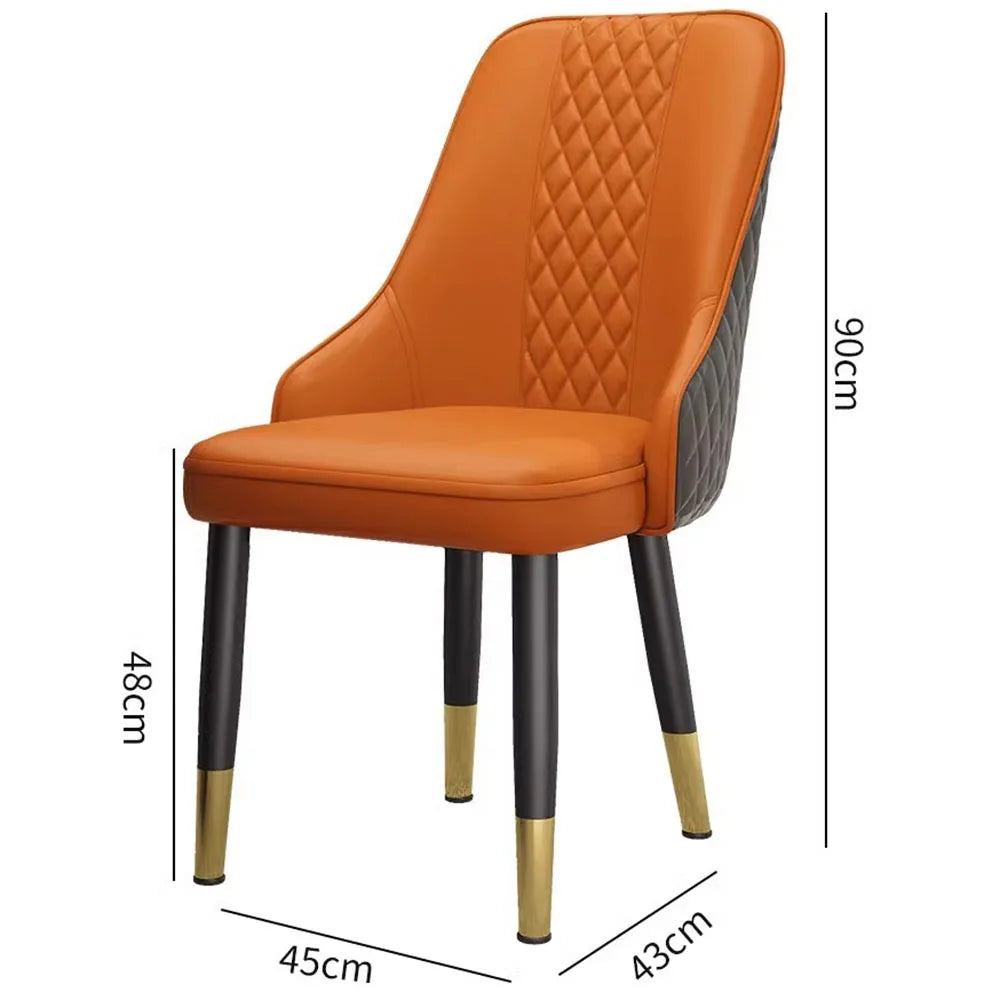 Cushion Beautiful Dining Chairs, Modern Metal Ergonomic  Unique  Home Decoration