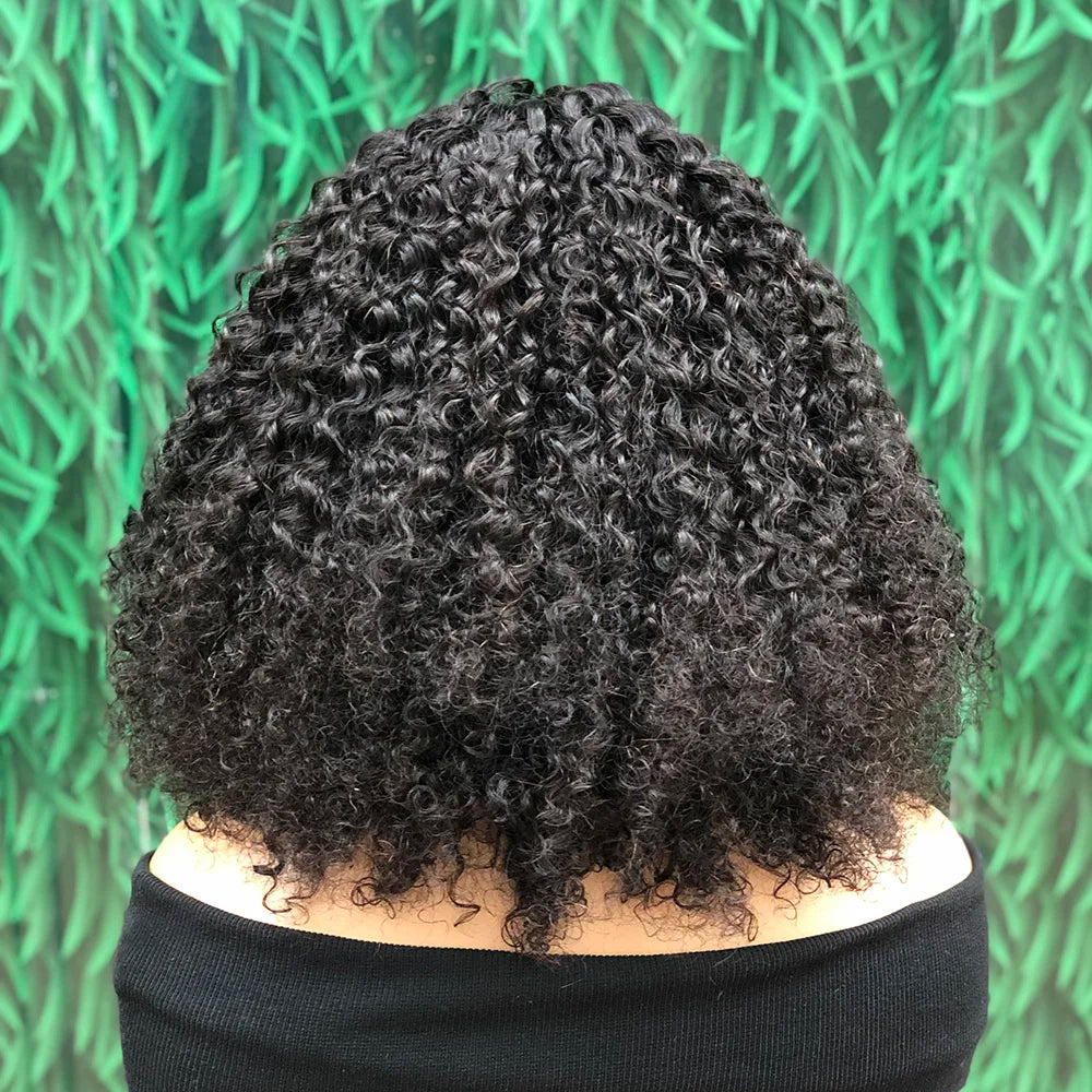 Braided Human Hair Wig 13x4 Lace Front  African Curly Human Hair Transparent Lace